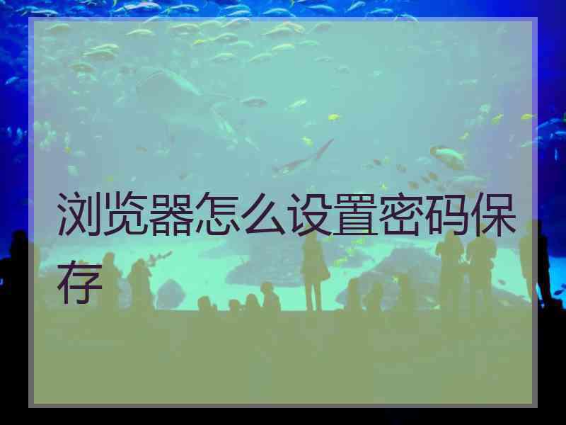 浏览器怎么设置密码保存