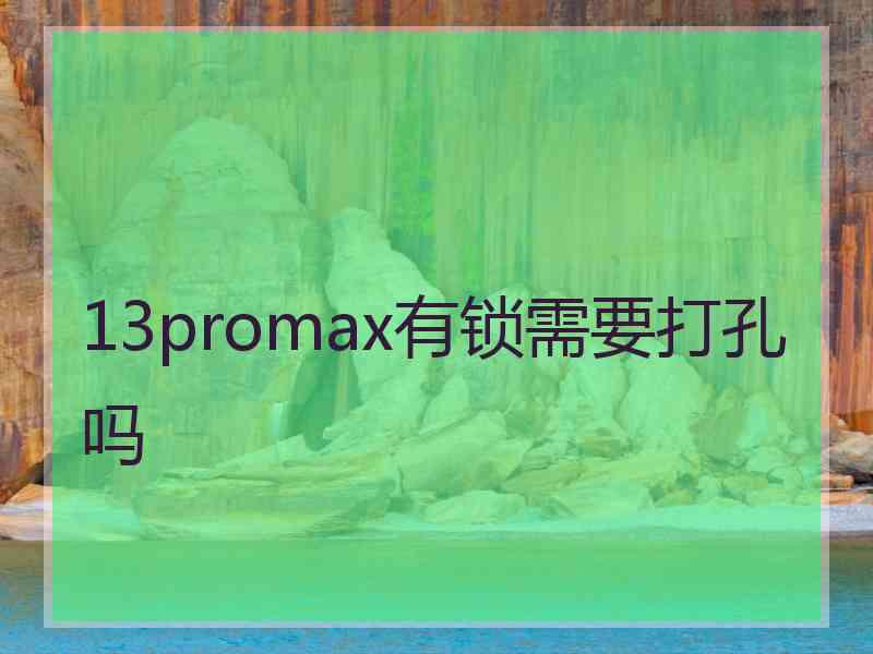 13promax有锁需要打孔吗