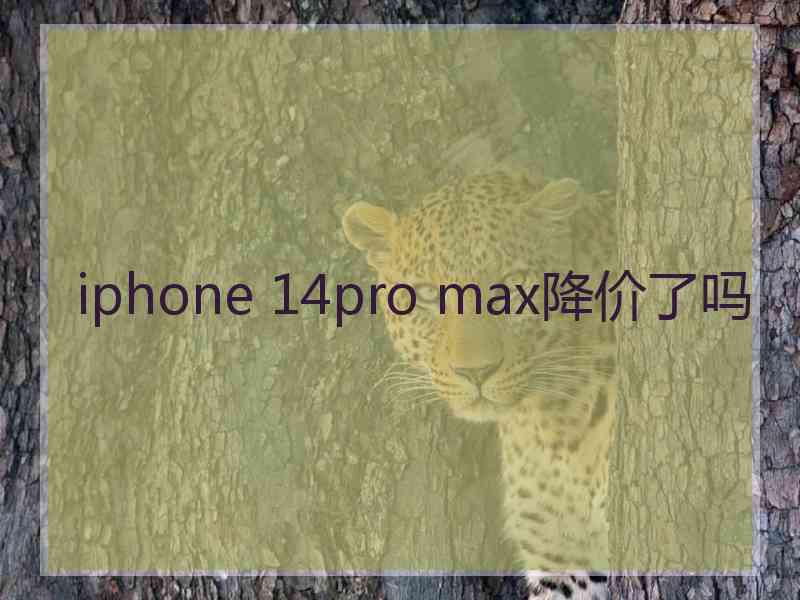 iphone 14pro max降价了吗