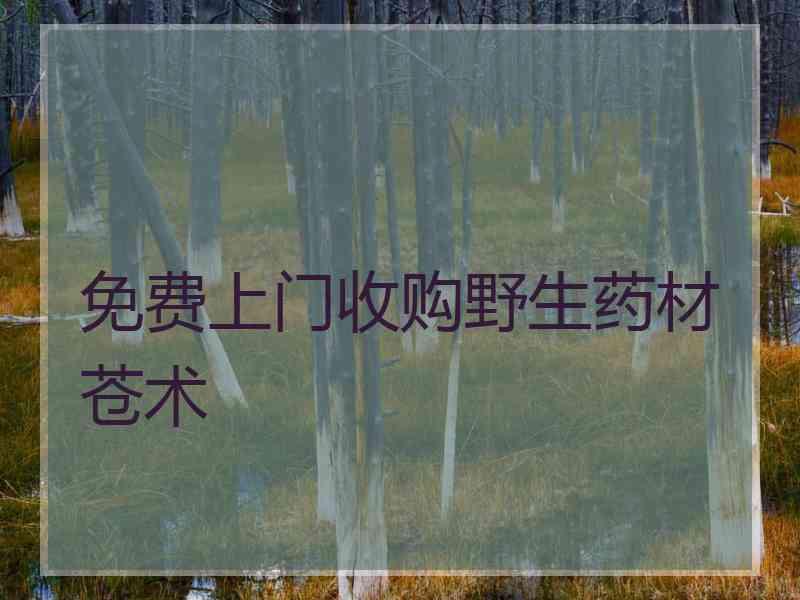 免费上门收购野生药材苍术