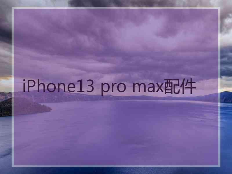 iPhone13 pro max配件