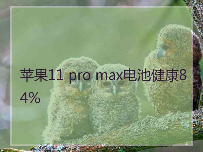 苹果11 pro max电池健康84%