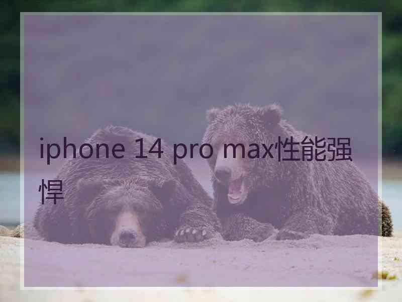 iphone 14 pro max性能强悍