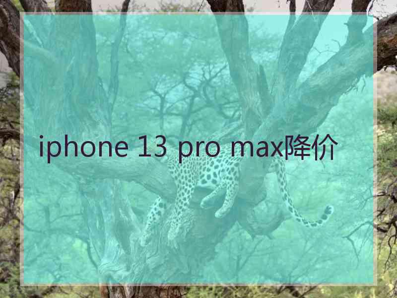 iphone 13 pro max降价