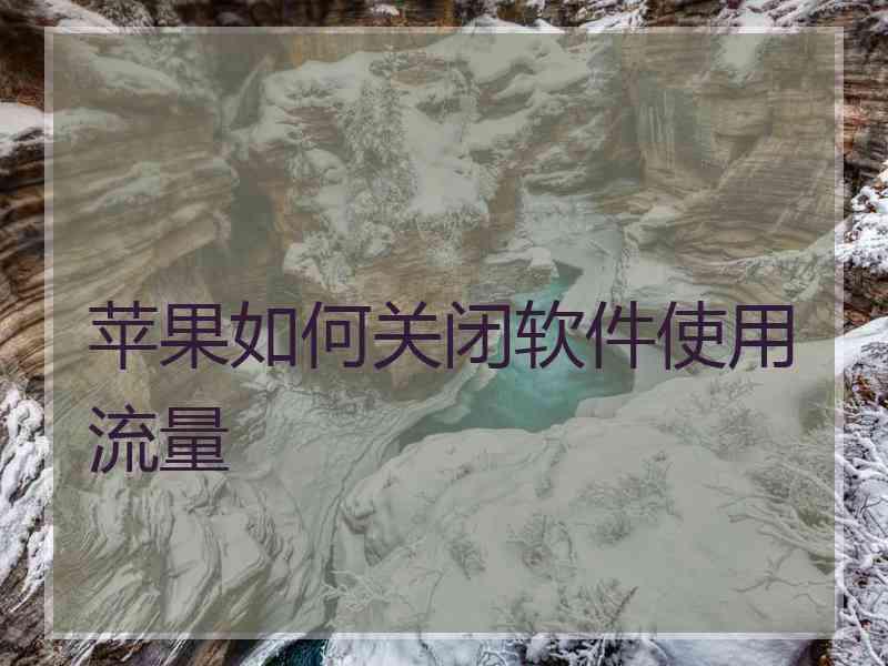 苹果如何关闭软件使用流量