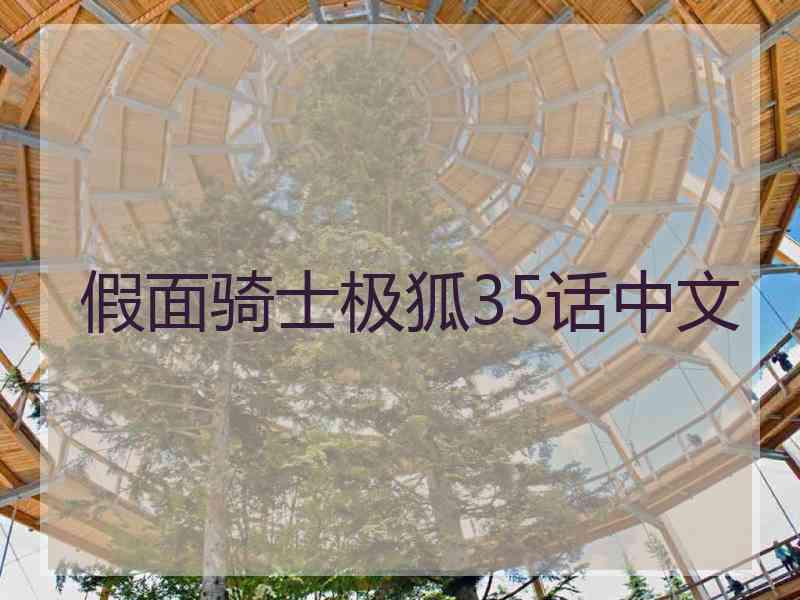 假面骑士极狐35话中文