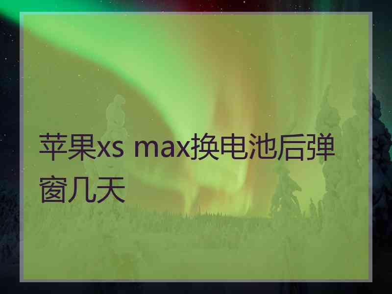 苹果xs max换电池后弹窗几天