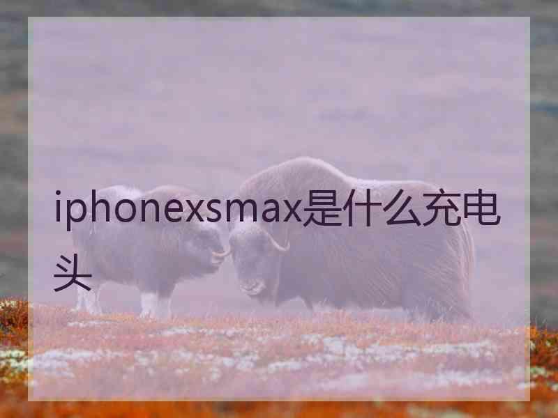 iphonexsmax是什么充电头