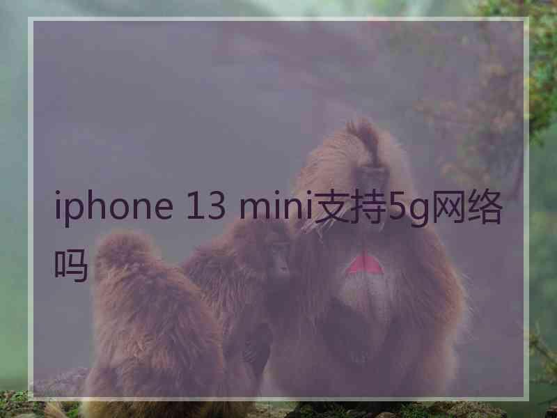 iphone 13 mini支持5g网络吗