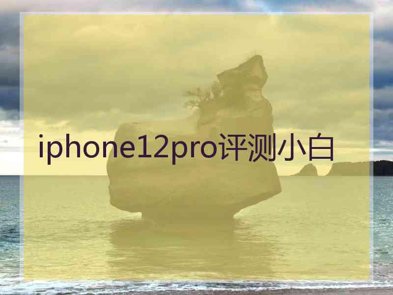 iphone12pro评测小白