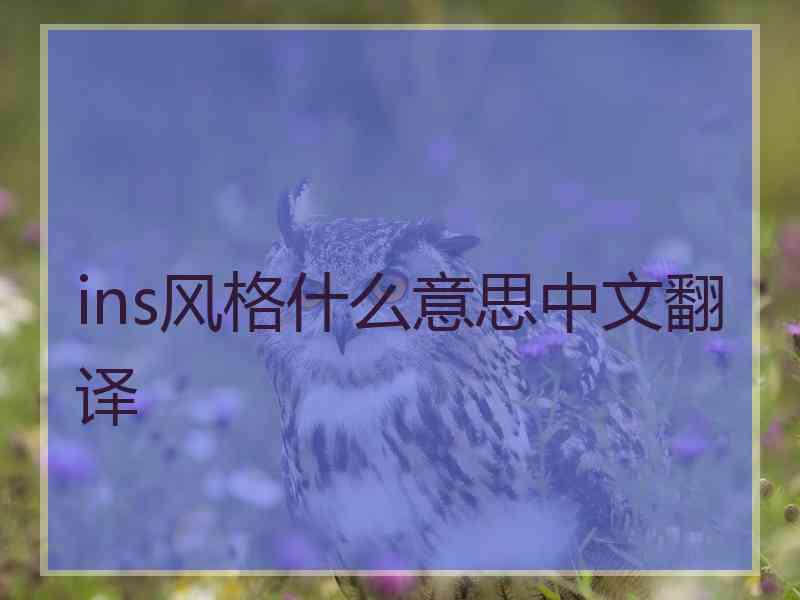 ins风格什么意思中文翻译