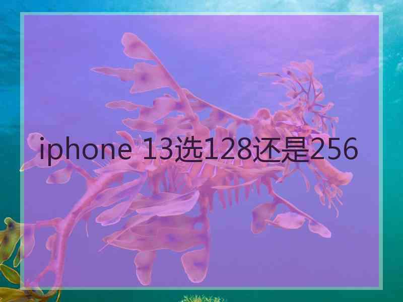 iphone 13选128还是256