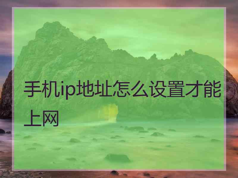 手机ip地址怎么设置才能上网