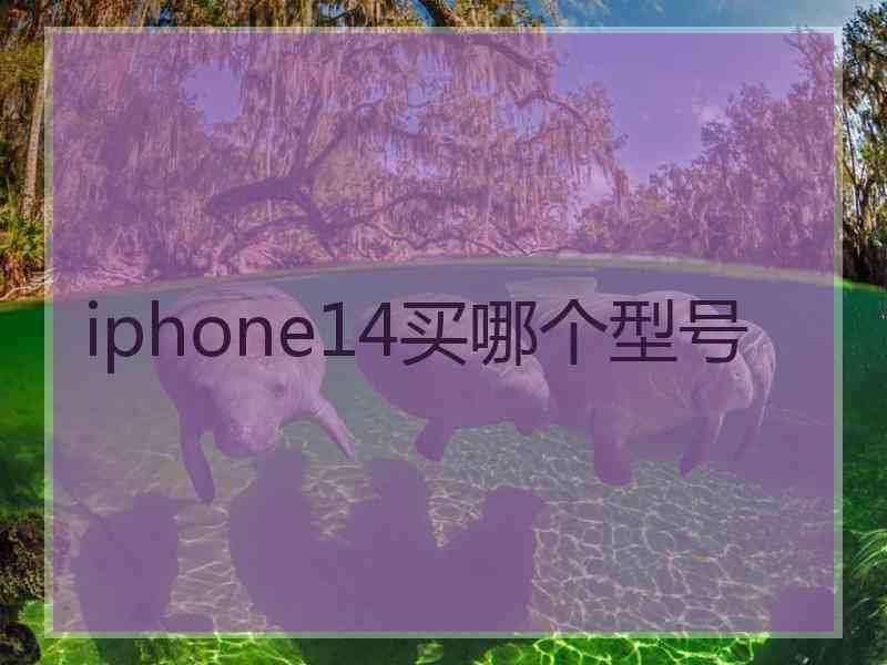 iphone14买哪个型号