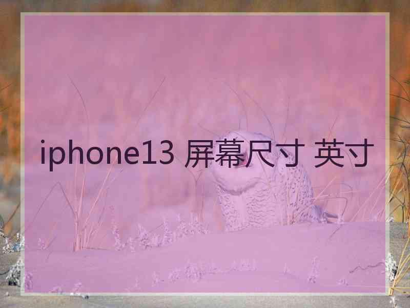 iphone13 屏幕尺寸 英寸