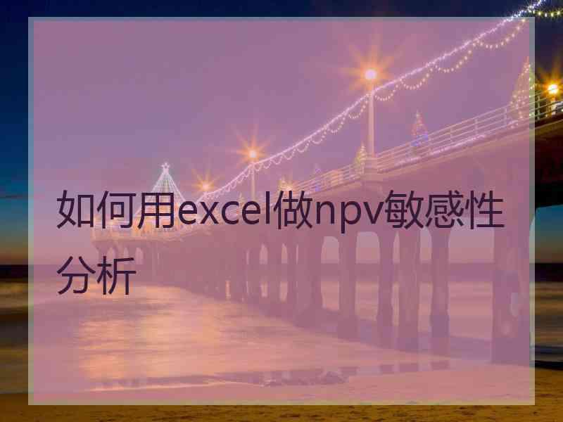 如何用excel做npv敏感性分析