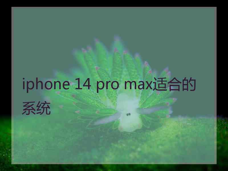 iphone 14 pro max适合的系统