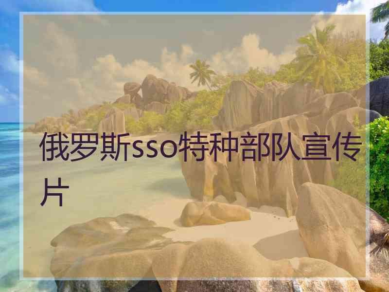 俄罗斯sso特种部队宣传片