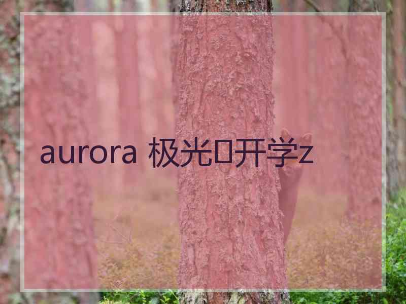 aurora 极光✨开学z