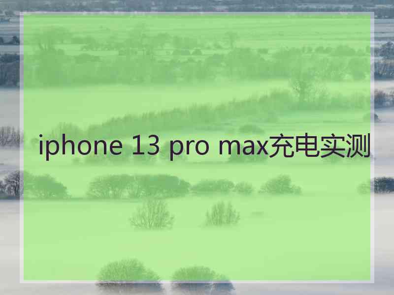 iphone 13 pro max充电实测