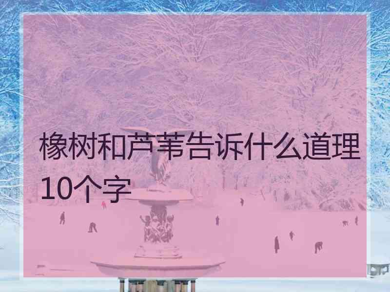 橡树和芦苇告诉什么道理10个字