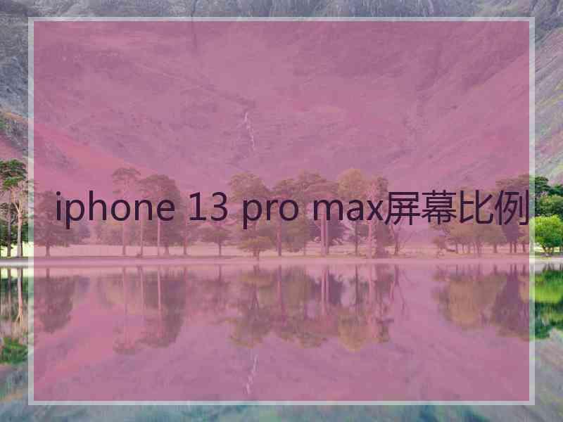 iphone 13 pro max屏幕比例