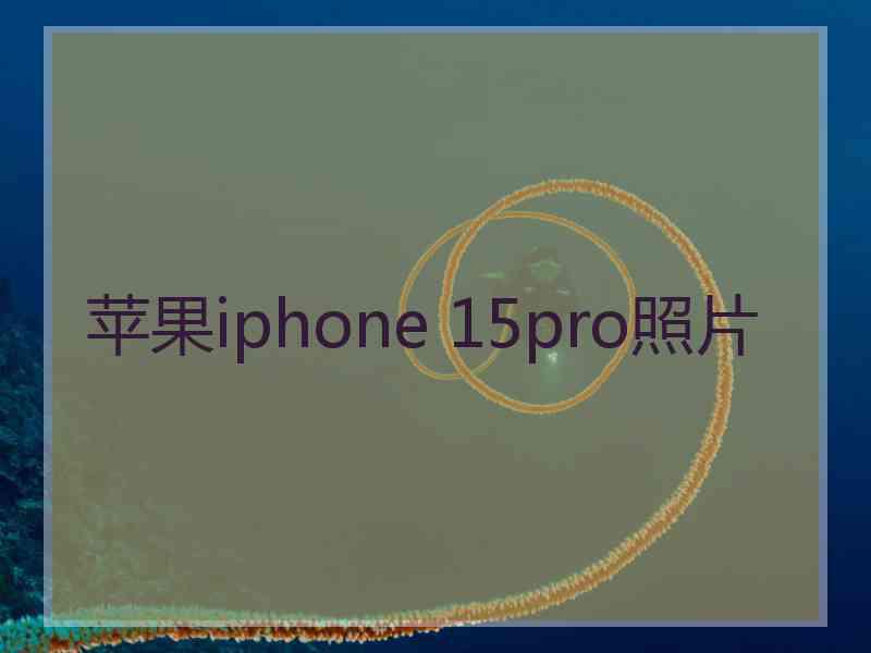 苹果iphone 15pro照片