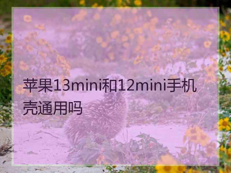 苹果13mini和12mini手机壳通用吗