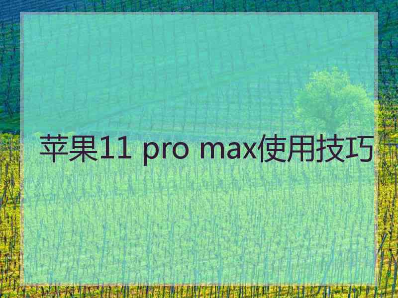 苹果11 pro max使用技巧