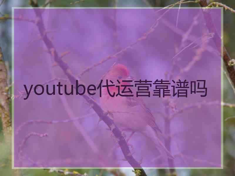 youtube代运营靠谱吗