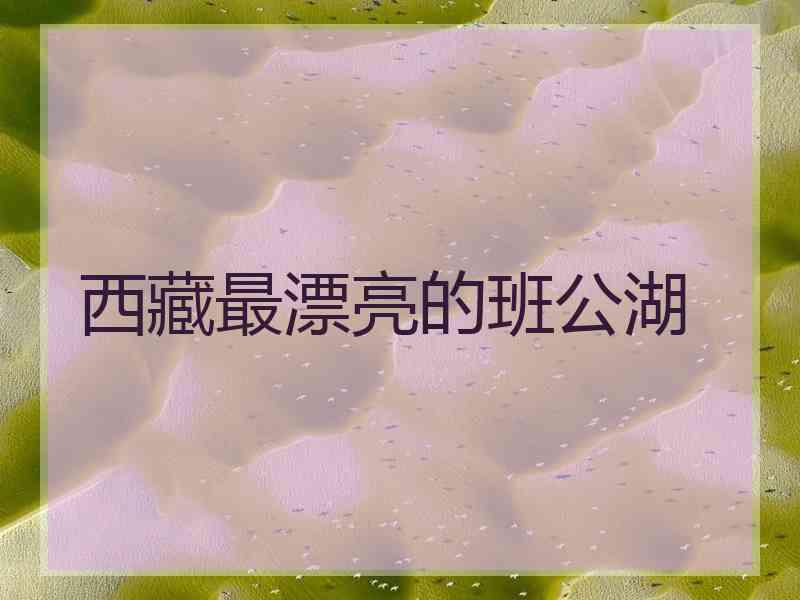 西藏最漂亮的班公湖