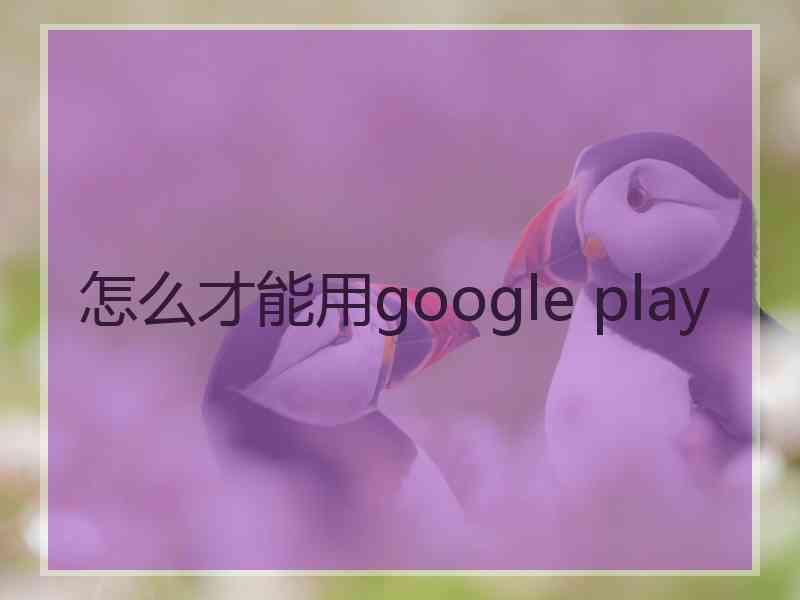 怎么才能用google play