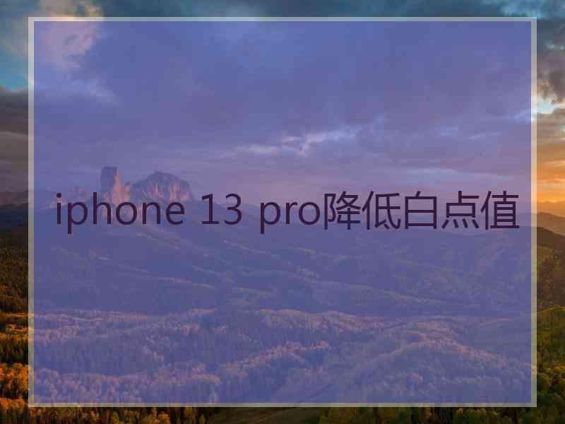 iphone 13 pro降低白点值