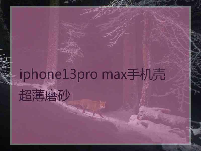 iphone13pro max手机壳超薄磨砂