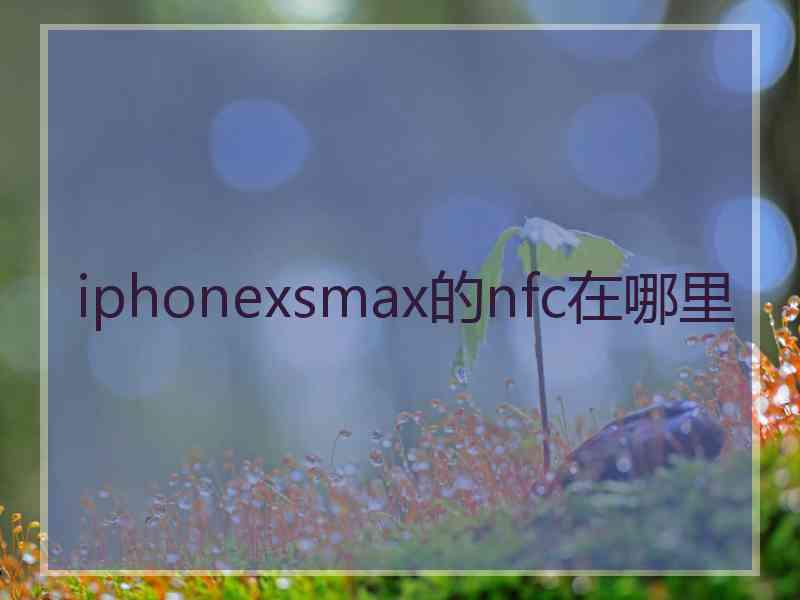 iphonexsmax的nfc在哪里