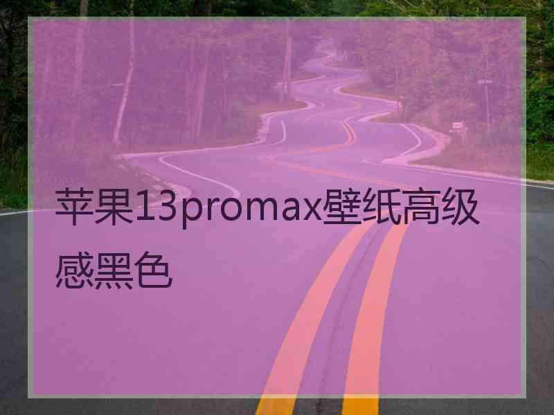 苹果13promax壁纸高级感黑色