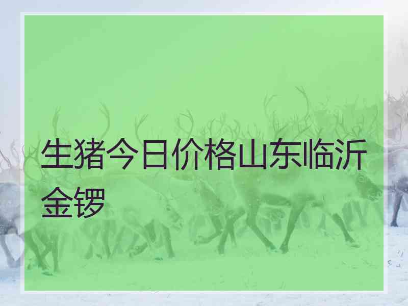 生猪今日价格山东临沂金锣