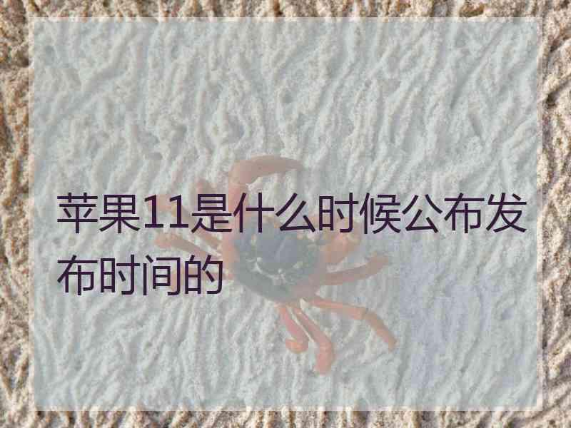 苹果11是什么时候公布发布时间的