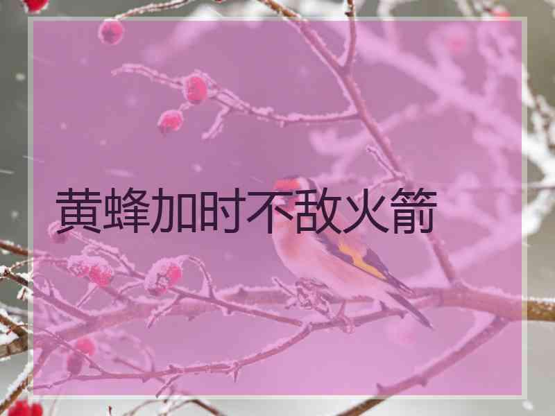 黄蜂加时不敌火箭