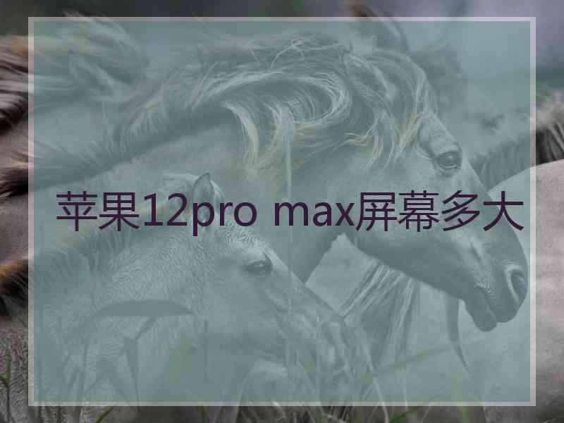 苹果12pro max屏幕多大