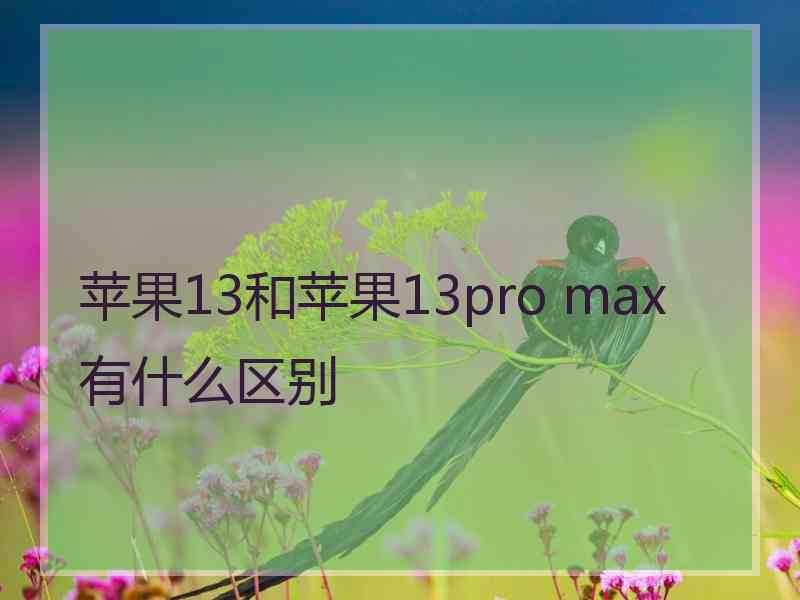 苹果13和苹果13pro max有什么区别