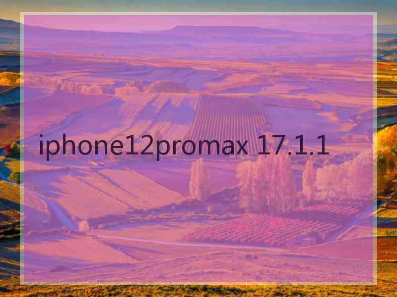 iphone12promax 17.1.1