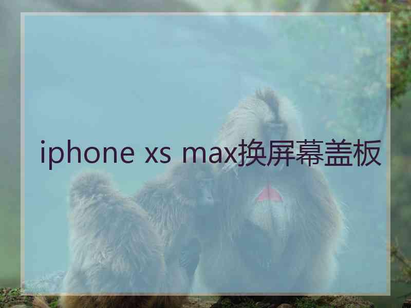 iphone xs max换屏幕盖板