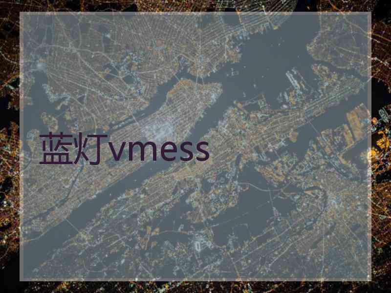 蓝灯vmess