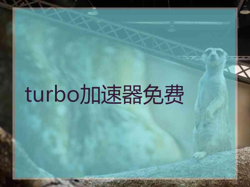 turbo加速器免费