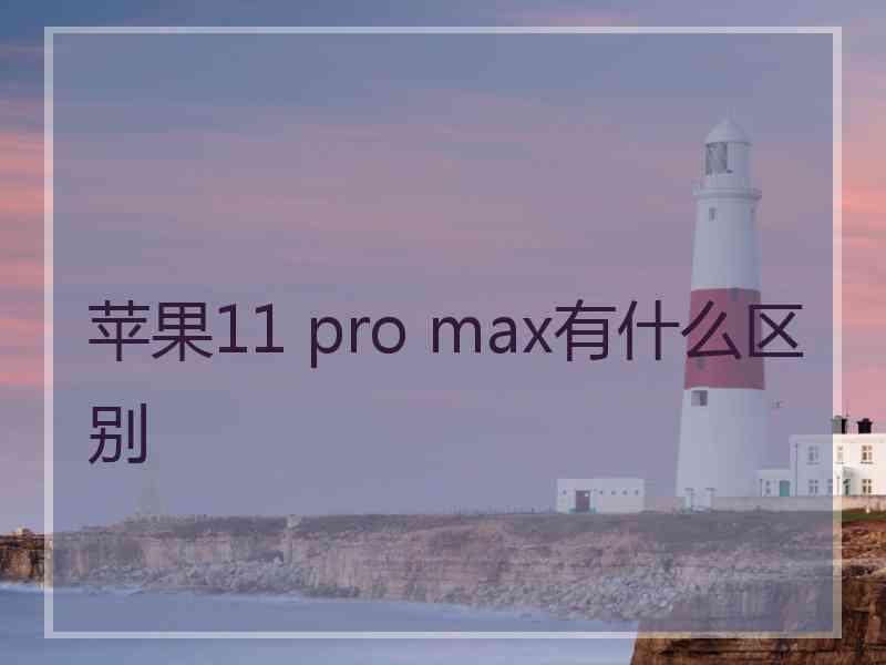 苹果11 pro max有什么区别