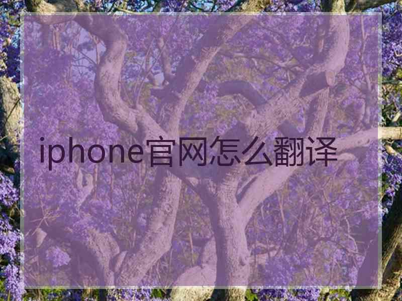 iphone官网怎么翻译