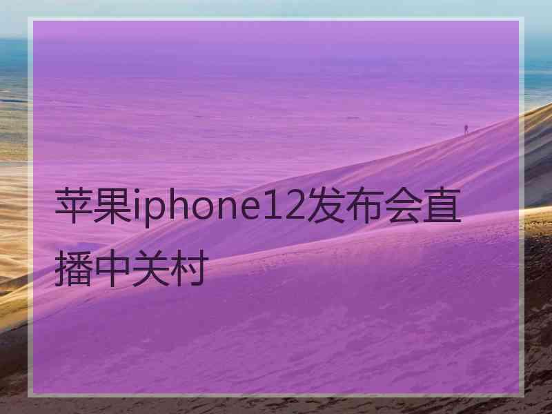 苹果iphone12发布会直播中关村