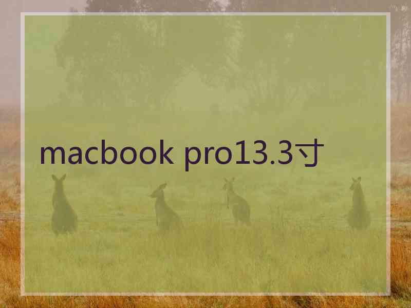 macbook pro13.3寸