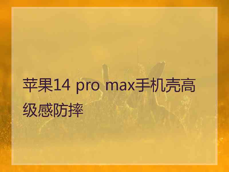 苹果14 pro max手机壳高级感防摔